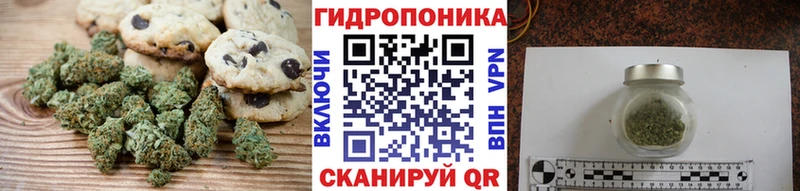 Купить где  Макарьев  Canna-Cookies марихуана